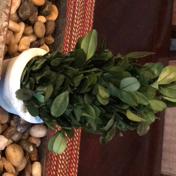 Meet your Posher, Lisa - Picture 1 of 1